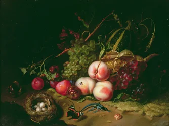 Nature morte avec fruits